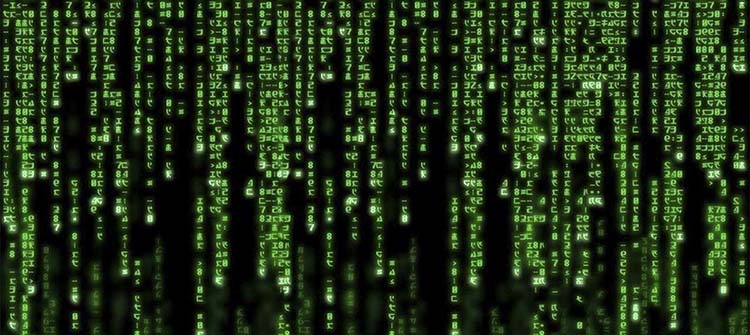 the matrix - интересные факты